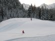 Beautiful winter landscape with trees
