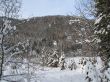 Beautiful winter landscape with trees