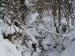 A snowy winter creek