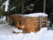 Bank in front of wood pile