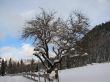 A beautiful winter scene