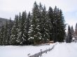 A beautiful winter scene