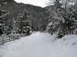 A beautiful winter scene