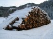 Snowy pile of wood
