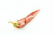 Red chili pepper