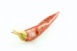 Red chili pepper