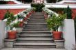 Steps with potted plants