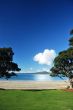 Rangitoto through the pohutakawas