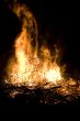 Flame Detail