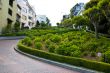 View of Lombard Street