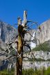 Yosemite Water Falls