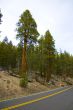 Yosemite National Park