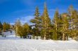 Yosemite National Park