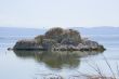 Tufa formations at Mono Lake