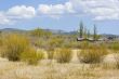 Tufa formations at Mono Lake