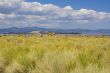 Tufa formations at Mono Lake