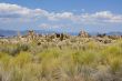 Tufa formations at Mono Lake