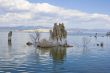 Tufa formations at Mono Lake