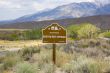 13 1/2 People living in small nevada town
