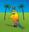 parrot