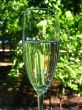 Glass