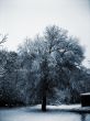 Russian winter