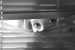 Who`s out there