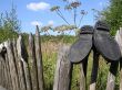 Boots on a fence