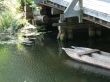 Boats and bridge