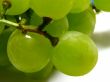 green and juicy grapes