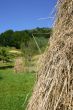 Summer landscape with hayrick