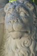 Sculpture of a lion