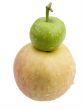 Small green and big pink apples