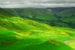 Green Vally
