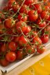 Cherry tomatoes