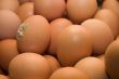 Fresh eggs