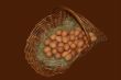 Eggs in a basket