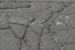 Old cracked asphalt