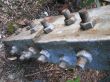 Rusty nuts