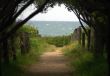 footpath to ocean