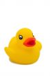 Yellow rubber duck