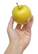 Woman`s hand holding an yellow apple