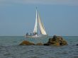 Little sailing yacht