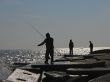Sea fishing