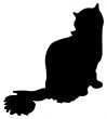 Silhouette of a cat
