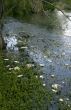 Man`s Disregard for Nature