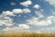 What a Sky!