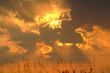 orange sky