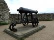 Cannon
