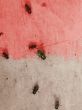 natural grunge background - flies